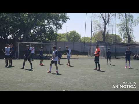 Pelle LXXII vs pestalozzi XV