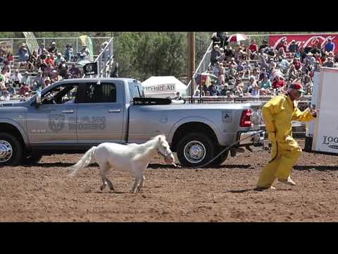 Rodeo Video