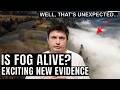 Evidence That Fog Is Alive And Not Just Some Weather Phenomenon