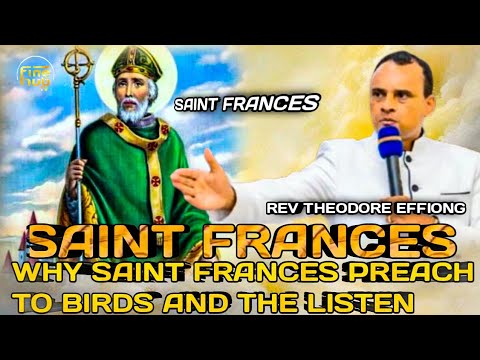WHY SAINT FRANCES PREACH TO BIRDS AND THE LISTEN BY REV THEODORE EFFIONG 