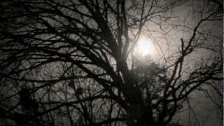 No Blood No Foul - Cancerous (Official Lyrics Video)