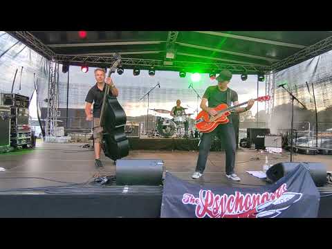 The Psychonauts -  Summertime is back in Elm -  2022