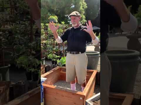 Raised Bed Gardens for Beginners with David Rizzo