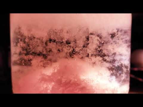 Die beste Marmelarde aus dem Metnitztal (Flitz & Suppe - Well Known Place Musik Video)