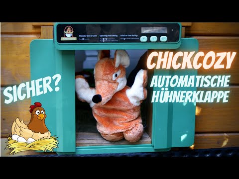 Chicken Tip 36 - Chickcozy automatic chicken coop door review