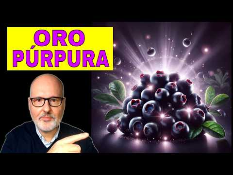 Das AMAZONAS-SUPERFOOD für Ihr HERZ, Ihre HAUT und Ihre VERDAUUNG