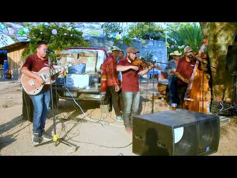 Falsos Amigos - Los Potrillos De Turicato