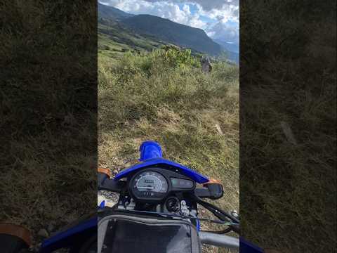 RUTA EN MOTO con mi PERRO al Mirador de El Hatillo (Albania, Santander) 🐾🏍️ #explore #viral #jsp
