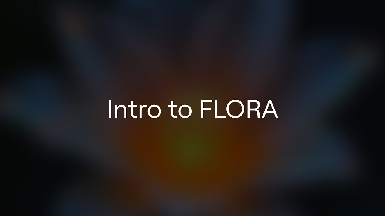 Introduction to FLORA Basics