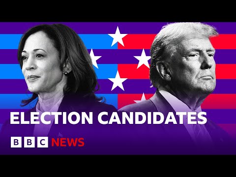 Video | Who are the US election candidates? | BBC News