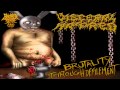 Visceral Hatred Brutality Through Defilement 2013 Full Album
