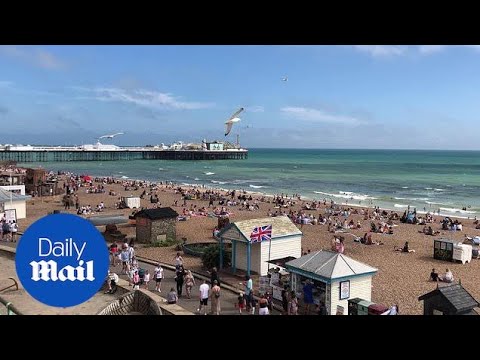 Brighton Beach Weather Today