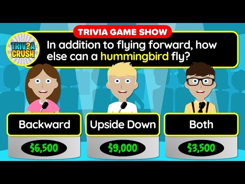 TEST YOUR KNOWLEDGE! - 40 Mixed Trivia Quiz Questions in a Unique Game Show Format. Round 88 - YouTube