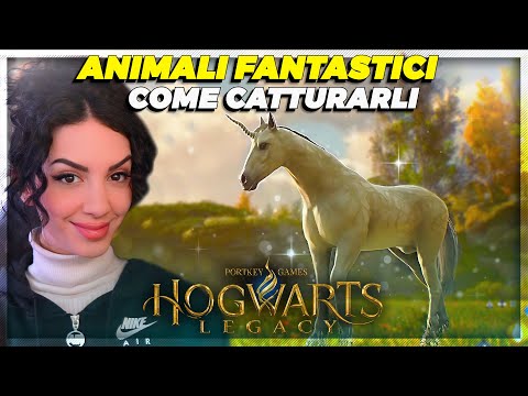ANIMALI FANTASTICI : COME TROVARLI e CATTURARLI | Hogwarts Legacy