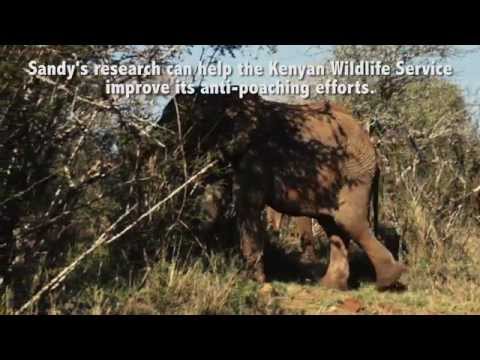 Animals Around Us