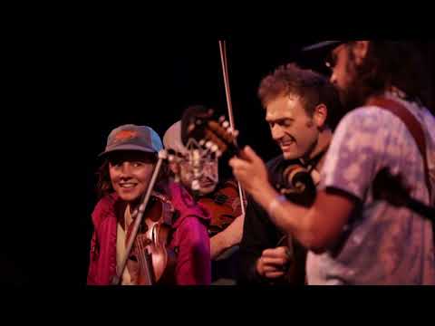 Punch Brothers & Watchhouse - Mystery of Love (Sufjan Stevens Cover)