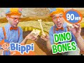 Blippi S Dino Exhibit At The Children S Museum Dinosaurs Learning Educational Videos For Kids