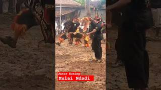Download lagu REOG JANUR KUNING MULAI NDADI #shorts #viral #reog  #janurkuning #kesenian mp3