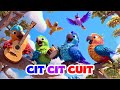 Cit Cit Cuit Lagu Anak Indonesia Populer Nursery Rhyme Indonesia TK PAUD