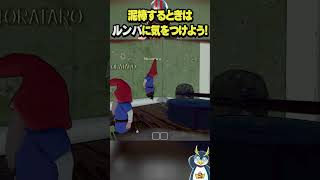 小人の最大の敵はルンバだった！#どろぼうノーム#しょうじ一味