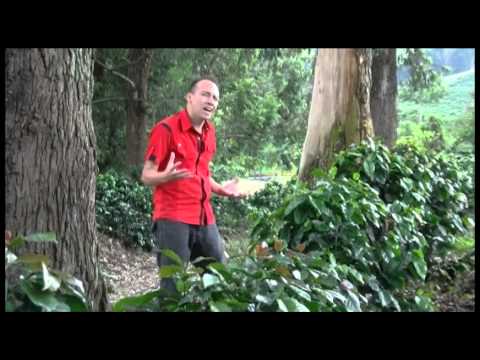 LA CELOSA FABIAN RODAS