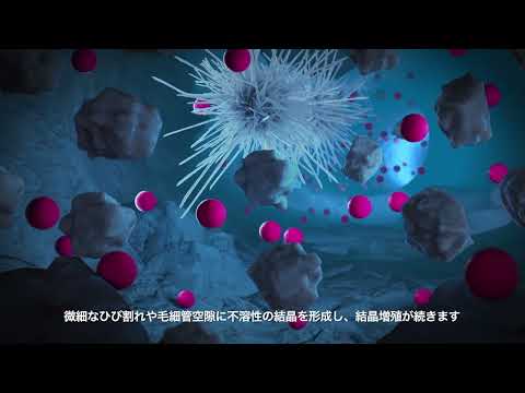 ザイペックスの結晶化メカニズム（字幕あり）