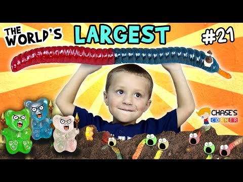 Chase's Corner: World's Largest Gummy Worm (#21) | DOH MUCH FUN