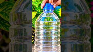 Download lagu watch long video for details https://youtu.be/_JWP5hsXs-A?si=TlzcuQZkWecSLamm #gardeningtips  #trend mp3