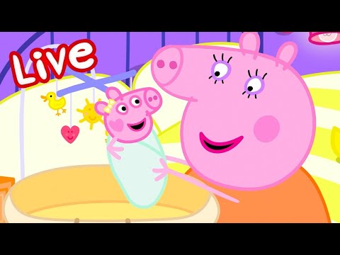 Peppa Pig NEW BABY EVIE Episodes LIVE 🍼 Evie Pig's BEST Moments 🥹 Watch EVIE Now! 💛 Kids Cartoons