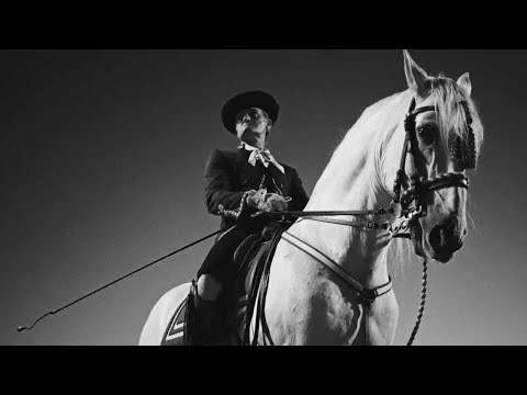 Tony Grox, José Rey, DeLasRosas - TIKI TIKI (Video Oficial)