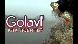Клев голавля в ноябре