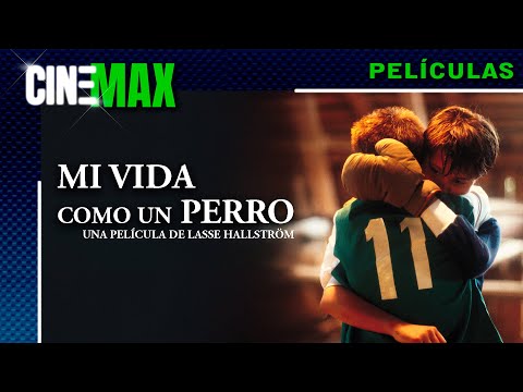 Mi Vida Como un Perro --  Comedia/Drama -- 📽️🌟CineMax Películas