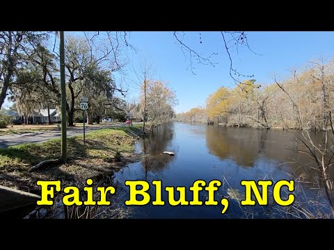 Fair Bluff | Town Center Walk Through |  Visit, shop, eat, move to, or start a business
