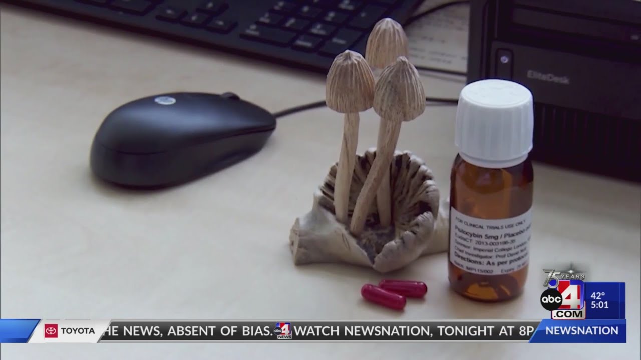 New medical psilocybin bill to help those with anxiety, depression, and PTSD