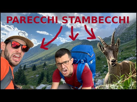 Dal Friuli alla Slovenia: bivacchi, bici, fiumi e imprevisti