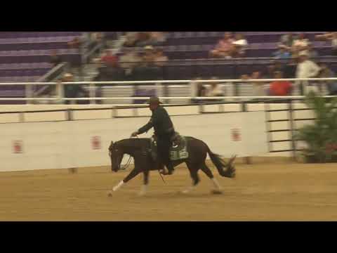 220806 Open Futurity Shawn Flarida on Andiamoe