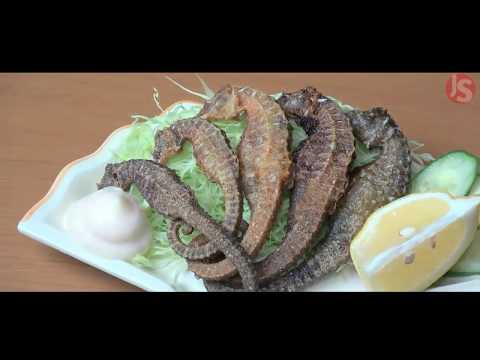 download lagu mp3 mp4 Seahorse Meal, download lagu Seahorse Meal gratis, unduh video klip Seahorse Meal