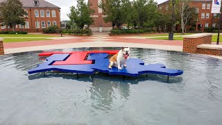 Dogs Keep Digging: Louisiana Tech University 2025-26 Institutional Spot