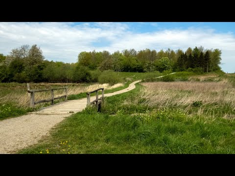 4K - Danmark, København, Karlslunde: Gåtur rundt om Karlstrup Mose.