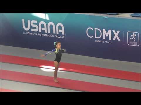 Copa Pegaso 2017 - Salto Nivel 4A