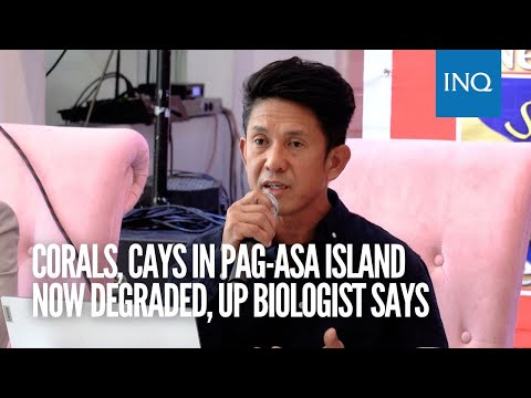 Corals, cays in Pag-asa Island now degraded, UP biologist says