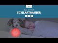 ZaZu Wecker Schlaftrainer Hund Davy taupe ZaZu Wecker Schlaftrainer Hund Davy taupe
