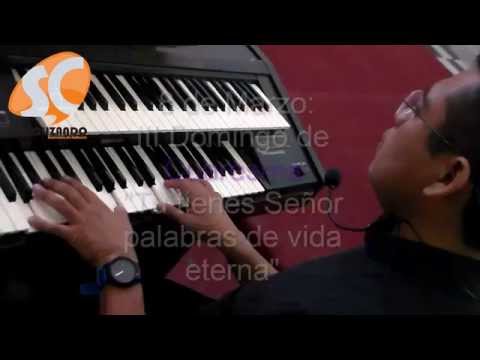 download lagu mp3 mp4 Melodias Para Salmos, download mp3 Melodias Para Salmos free download mp3, download mp3 Melodias Para Salmos