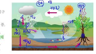 [초등과학 4-2 무료강의] 5. 물의 여행 ② 물은 어떻게 여행할까요? 2