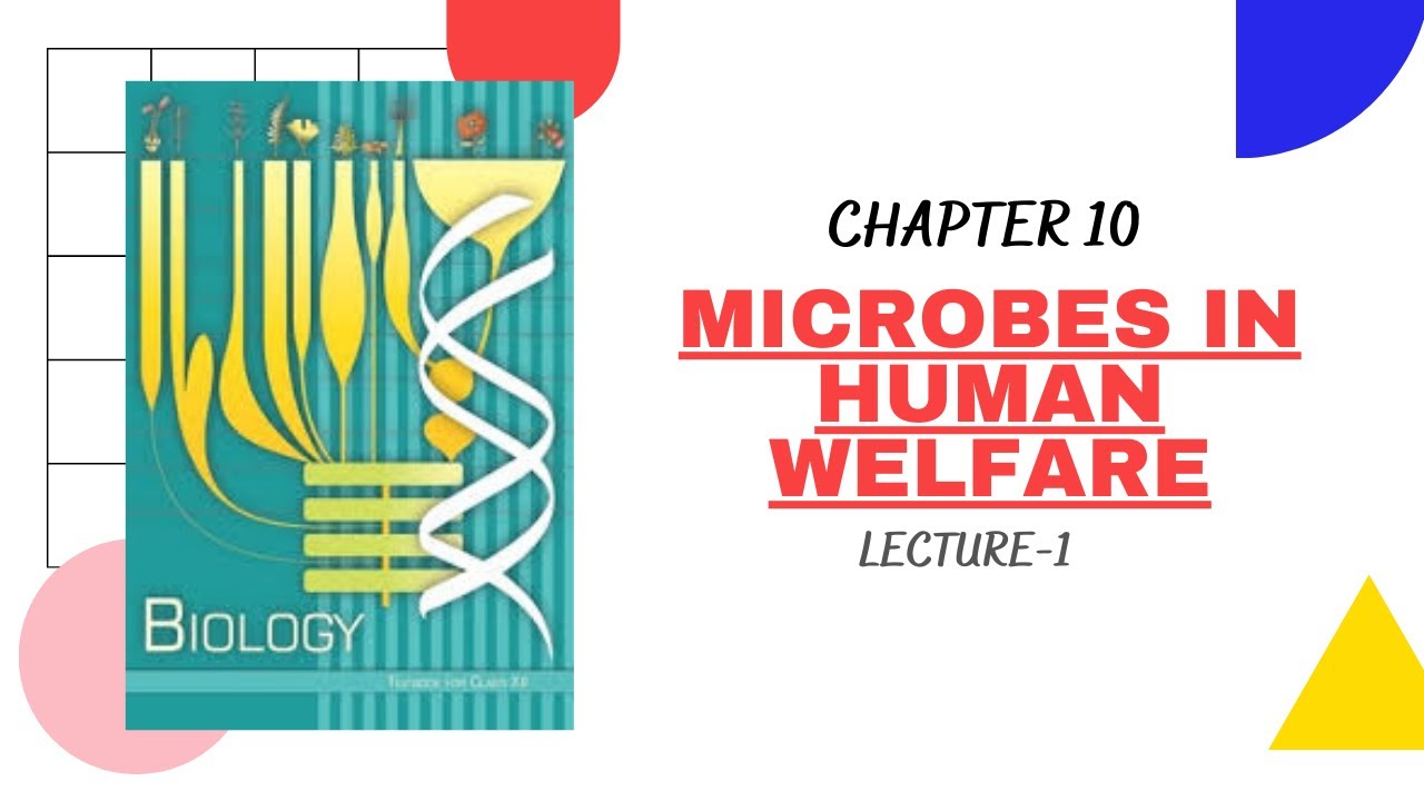 MICROBES IN HUMAN WELFARE PART-1 | ANTIBIOTICS, TODDY, BEVERAGES