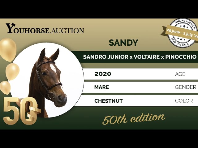 Sandy