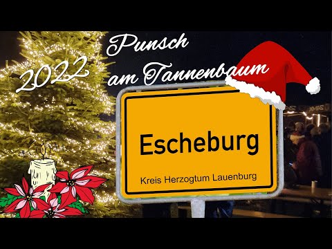 Punsch am Tannenbaum2022 in Escheburg