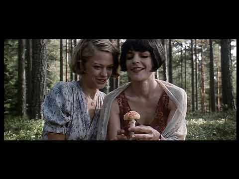 Das Kino Xavier Koller`s