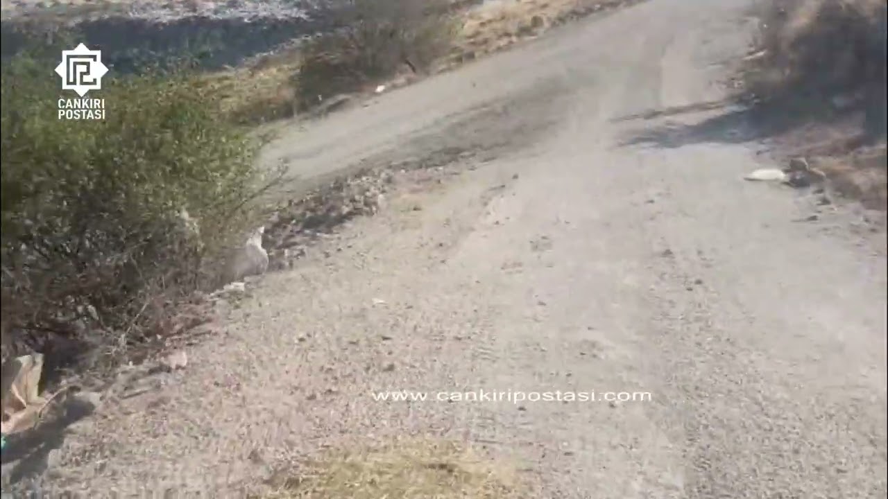 İğdir Ovasında yol kenarları çöplüğe döndü