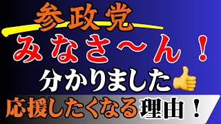 参政党が仕掛けるＤＩＹ政治の正体 資金ゼロ 組織ゼロから国政に殴り込んだハイテク集団の裏側を徹底分析